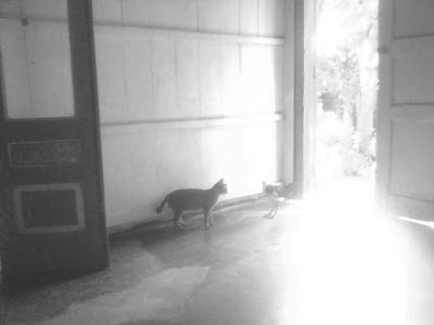 Gambar 4