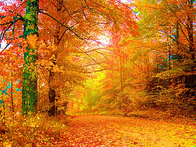 Autumn