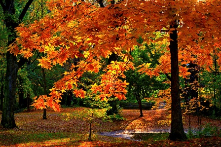 Autumn